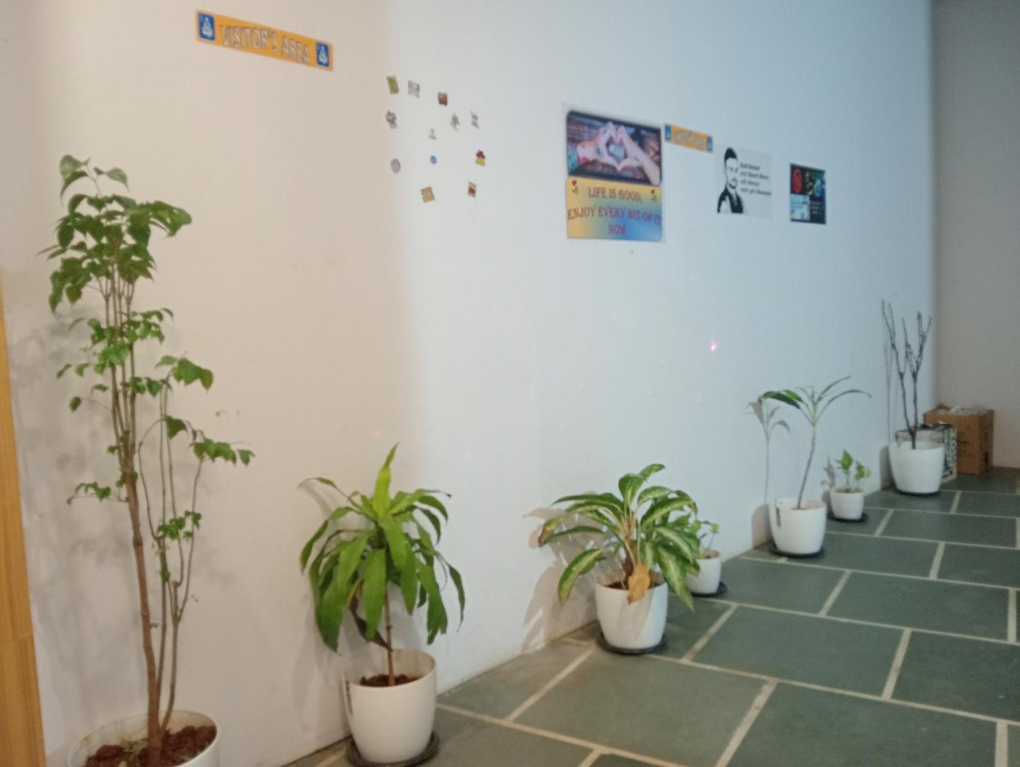 Pensión Arts International Bombay